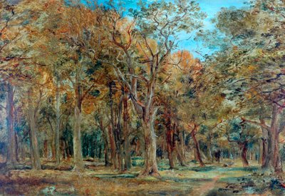 Sherwood Forest by Richard Sebastian Bond
